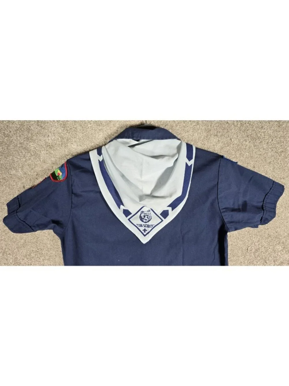 N/A boy scouts